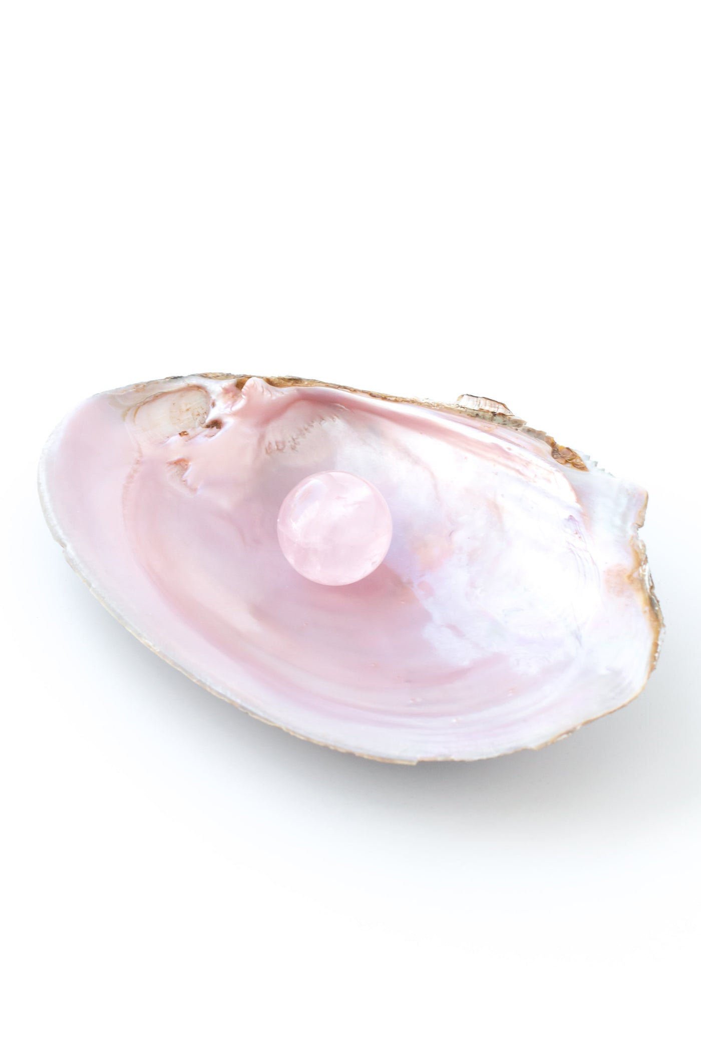 Pink Shell